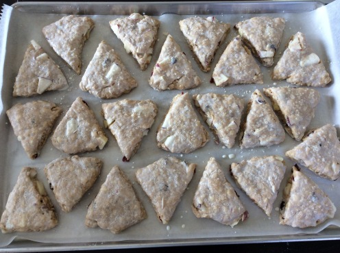 Ready for the freezer; notice the space between each scone to allow for expansion.